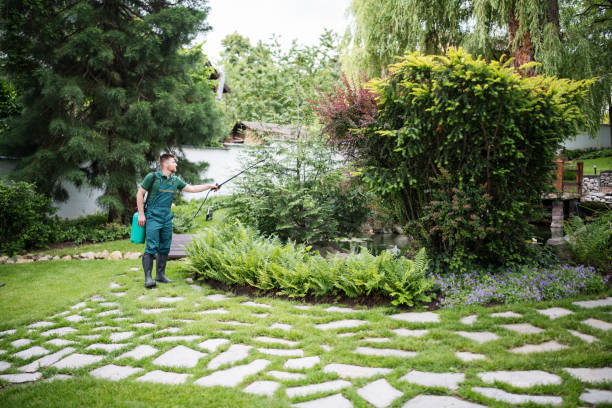 Best Pest Prevention Services  in Rio Rancho, NM